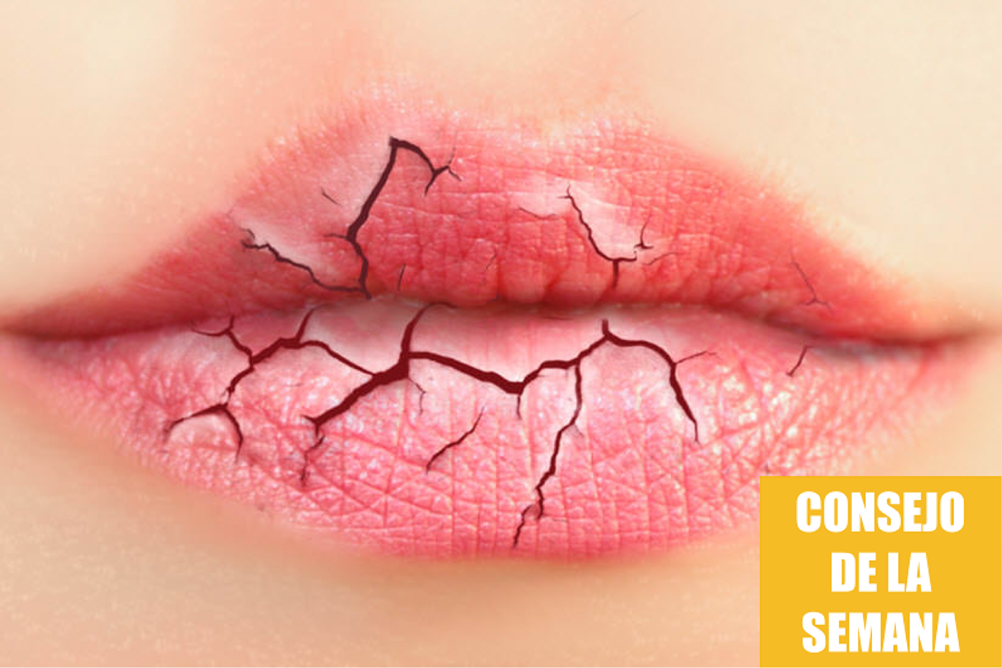 Consejos para evitar labios secos y partidos en invierno