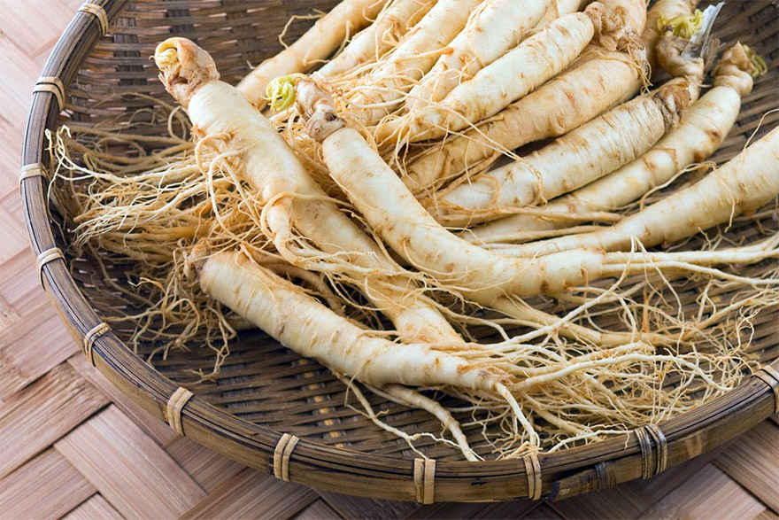 10 beneficios del Ginseng que debes conocer