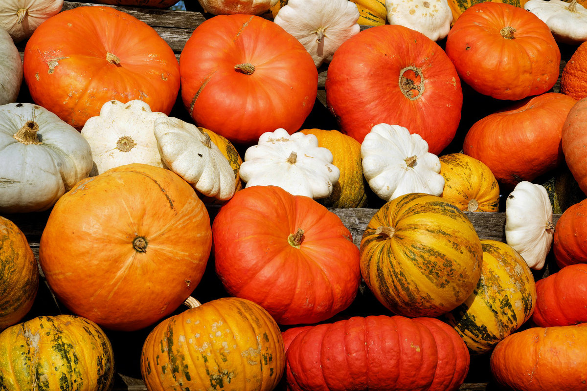 Calabaza, todos los beneficios que debes saber