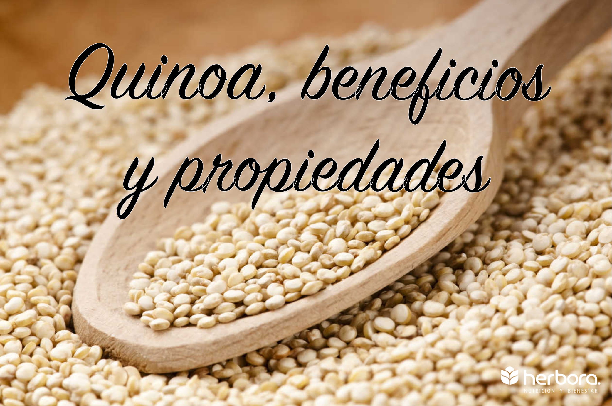 Quinoa, beneficios y propiedades