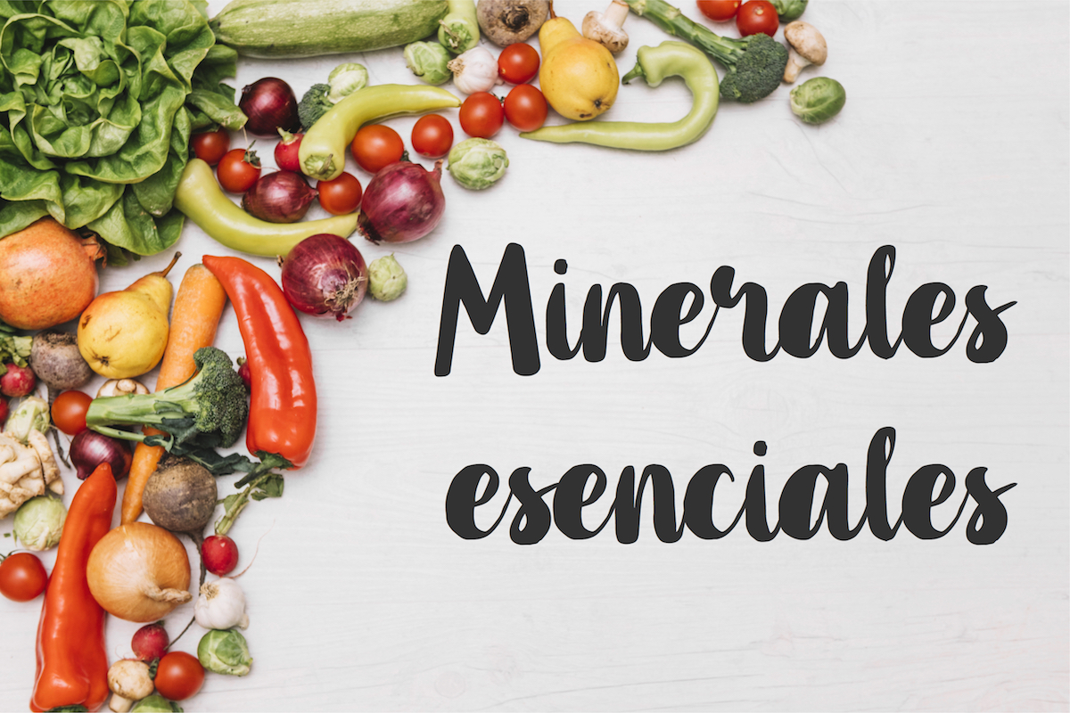 Minerales esenciales, todo lo que debes saber