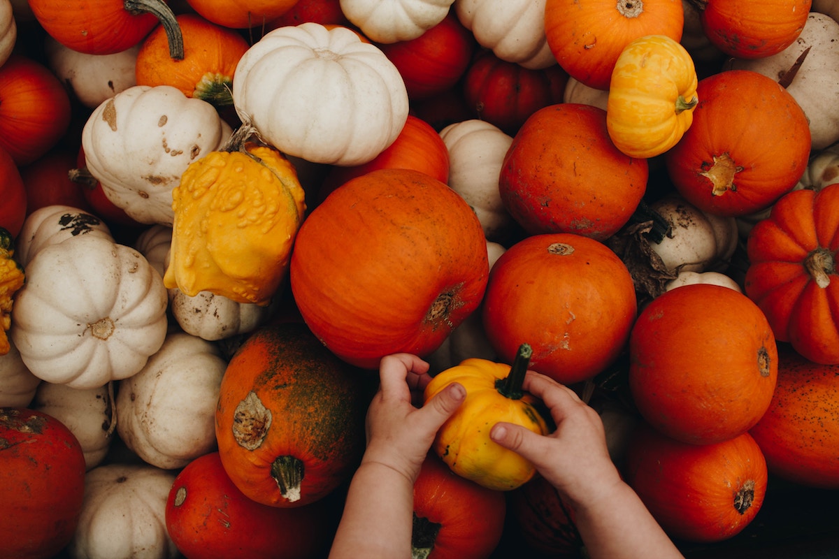 Frutas y verduras de otoño