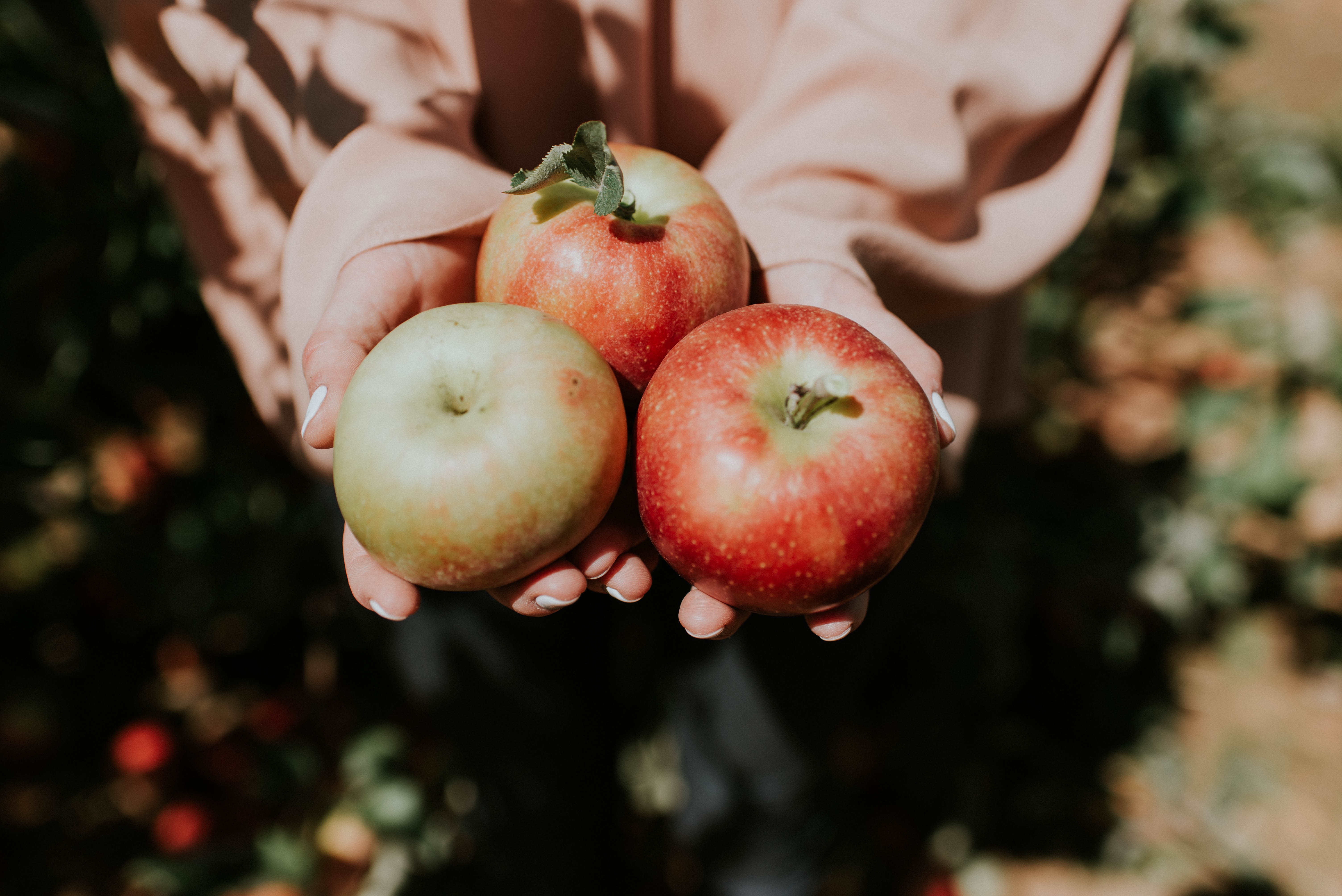 Frutas de otoño y por qué tomarlas