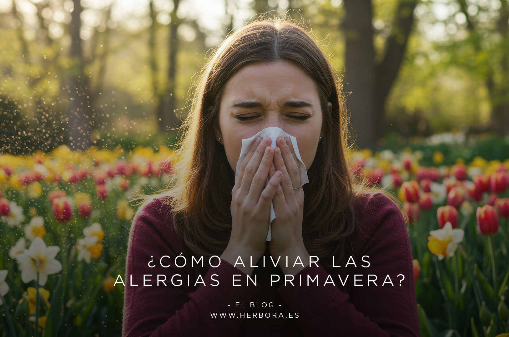 ¿Cómo aliviar las alergias en primavera?