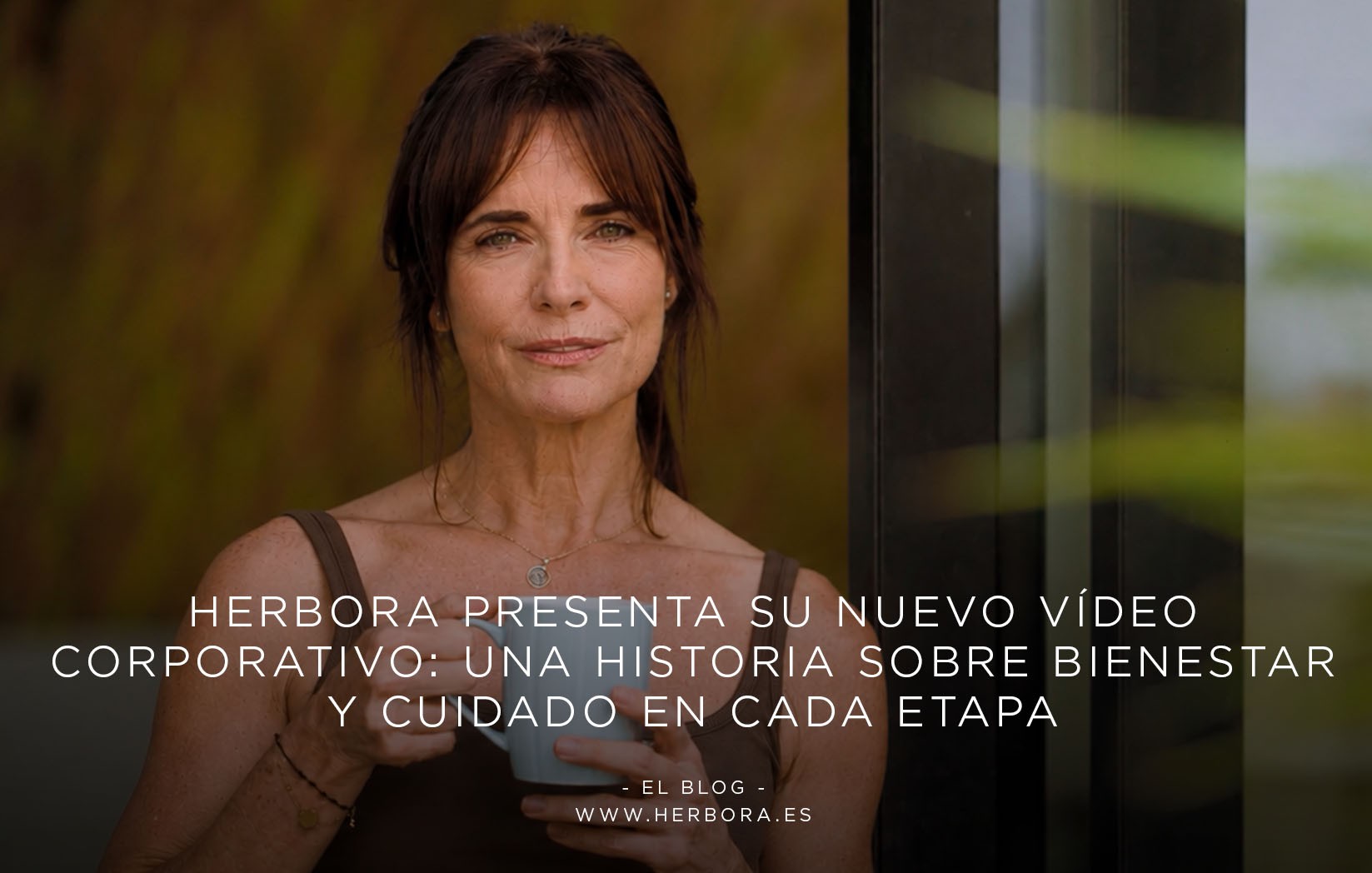 Nuevo vídeo corporativo de Herbora